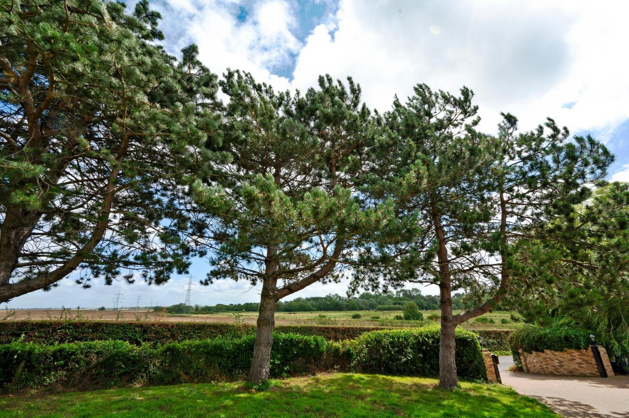 Owlet Lodge Chislet Eksteriør billede